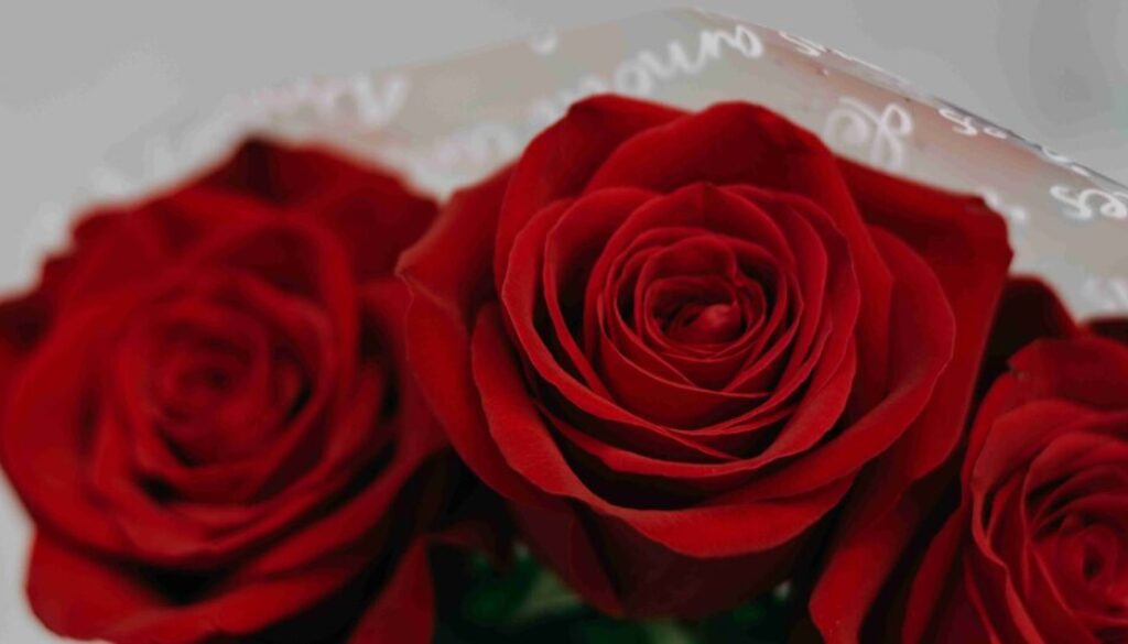 VALENTINE'S FLOWERS